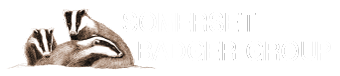 Somerset Badger Group